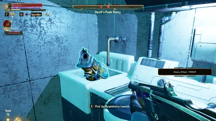 Peluncuran Purpleberry