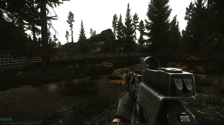 Punto de Aparición (PMC)