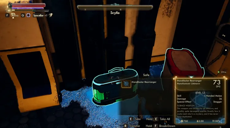 Reorganizador Mandibular