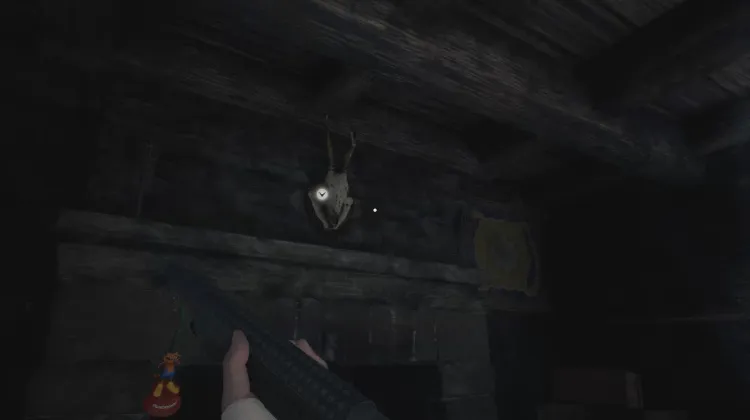 Crânio de Animal Montado