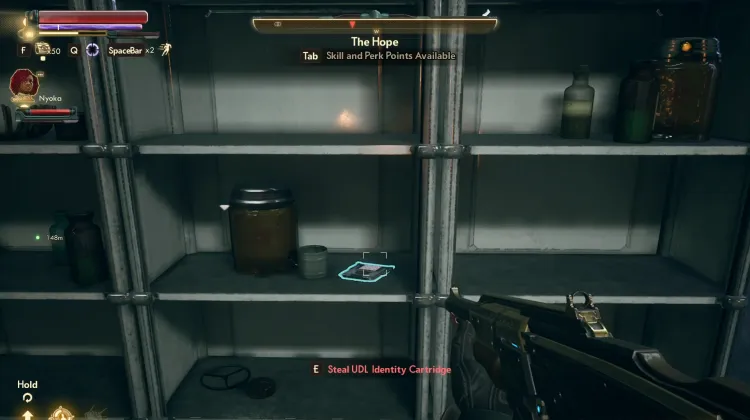 UDL Identity Cartridge