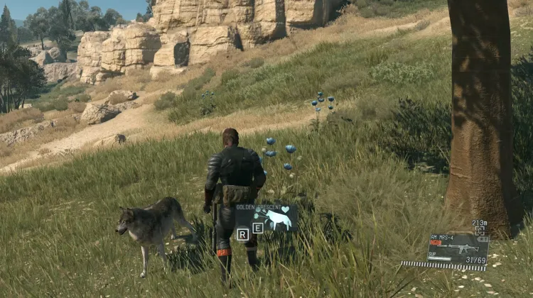 Golden Crescent (4x)