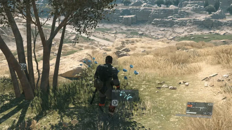 Golden Crescent (2x)