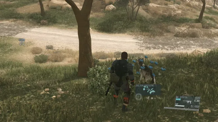 Golden Crescent (3x)