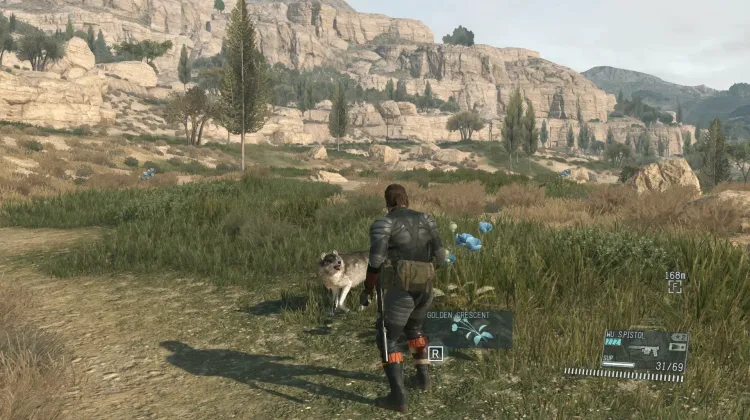 Golden Crescent (3x)