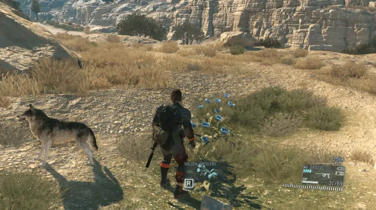 Golden Crescent (2x)