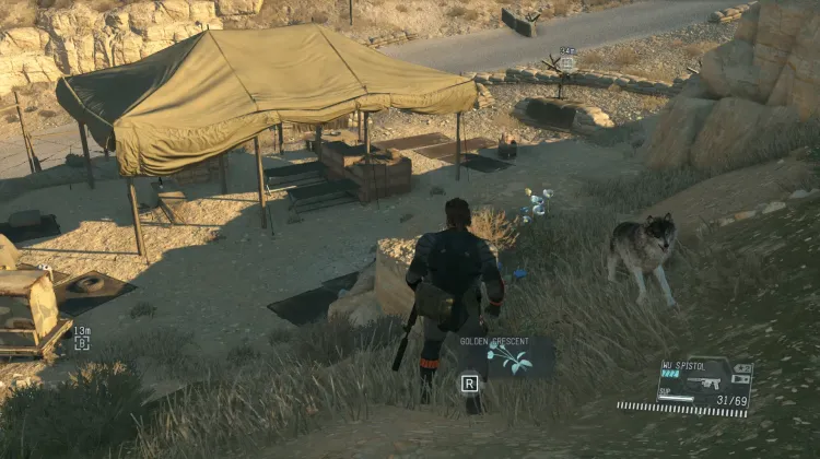 Golden Crescent (2x)