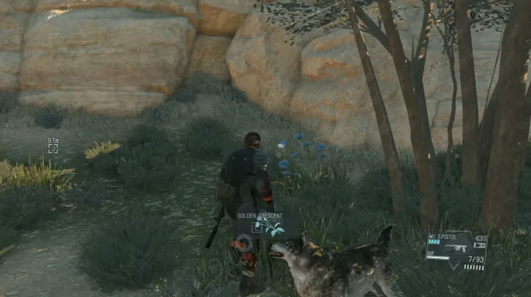 Golden Crescent (2x)