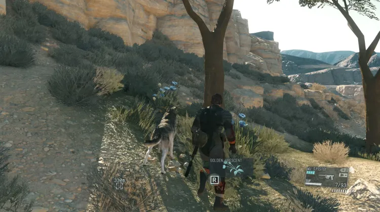 Golden Crescent (2x)