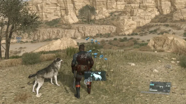 Golden Crescent (2x)