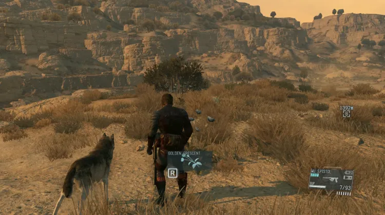 Golden Crescent (3x)