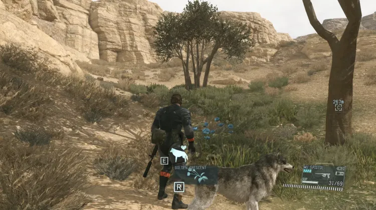 Golden Crescent (2x)