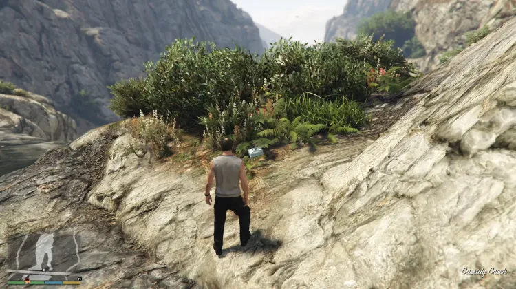 Pièce de vaisseau spatial