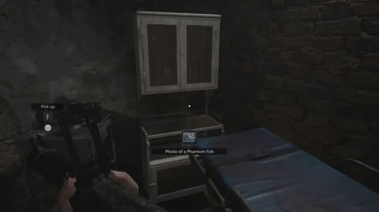 Foto de um Peixe Fantasma