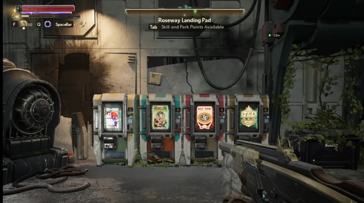 Comestíveis Financiáveis da C&P