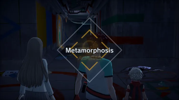 Metamorfosis