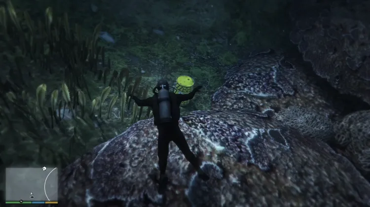 Déchets nucléaires