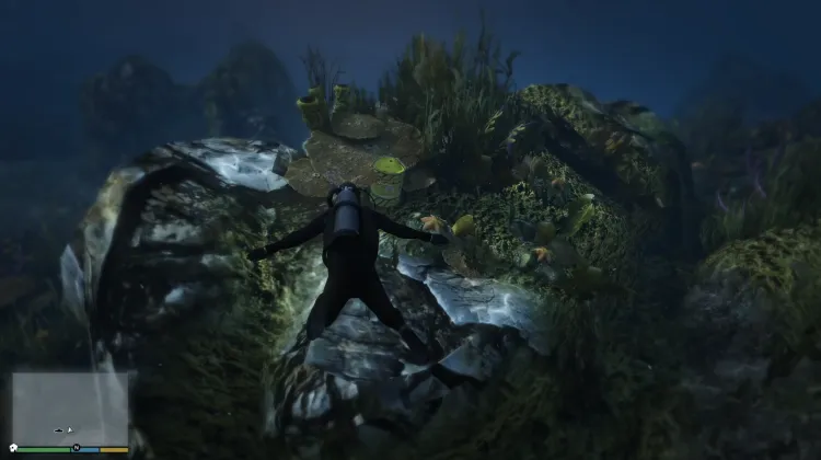 Déchets nucléaires