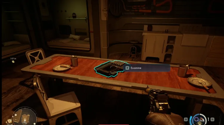 So You've Just Been Liberated - What Now?