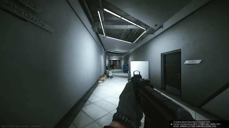 Punto de Aparición (PMC)