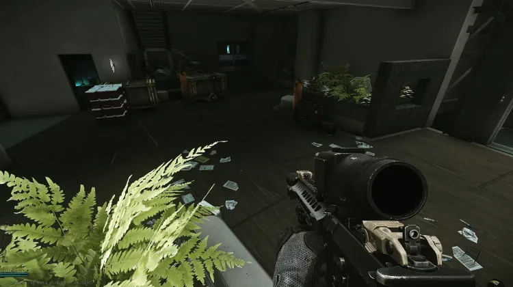 Punto de Aparición (PMC)