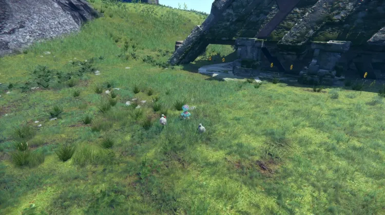 Trouver Amy : Aider une mère inquiète