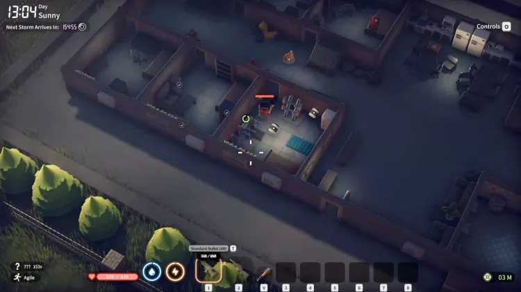 Compañero de Gimnasio