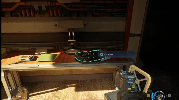 So You've Just been Liberated - What Now?