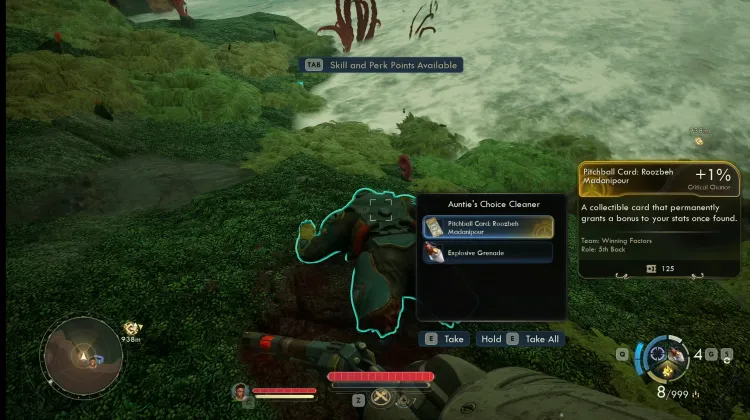 Kartu Pitchball: Roozbeh Madanipour