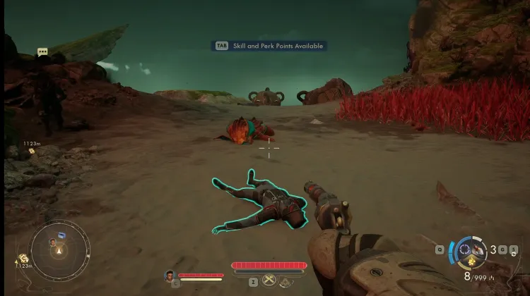 Protectorate Trooper