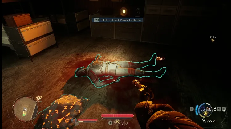 Protectorate Trooper