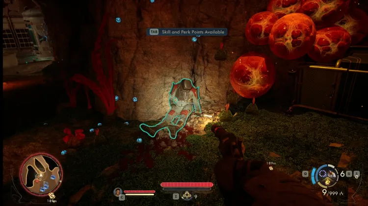 Protectorate Trooper