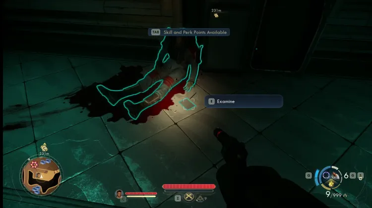 Protectorate Trooper