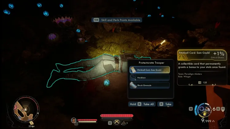 Protectorate Trooper