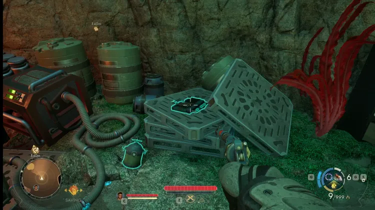 Confirmed Skeleton Crabble Sighting