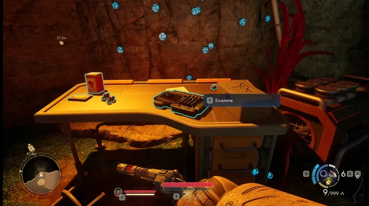 Free Salvage, Brought to You by Auntie's Choice