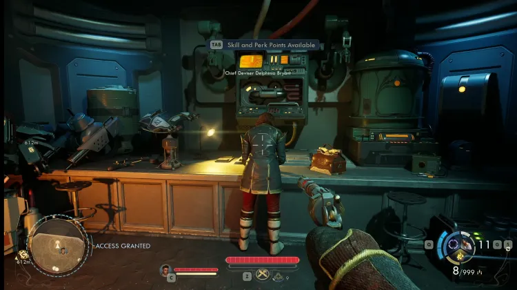 Research Diary - Chief Deviser Delphina