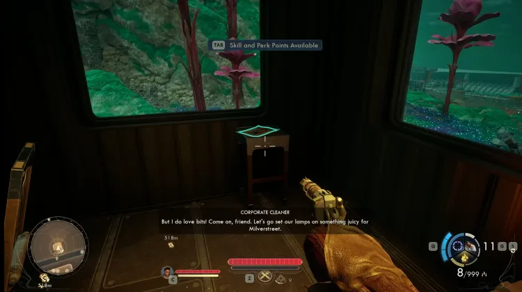 Westport Observational Report