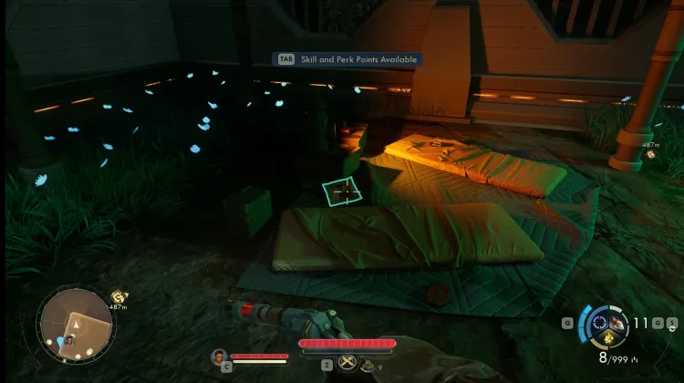 Westport Observational Report