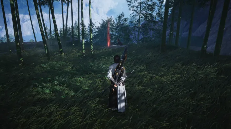 Bamboucoupe Imparable