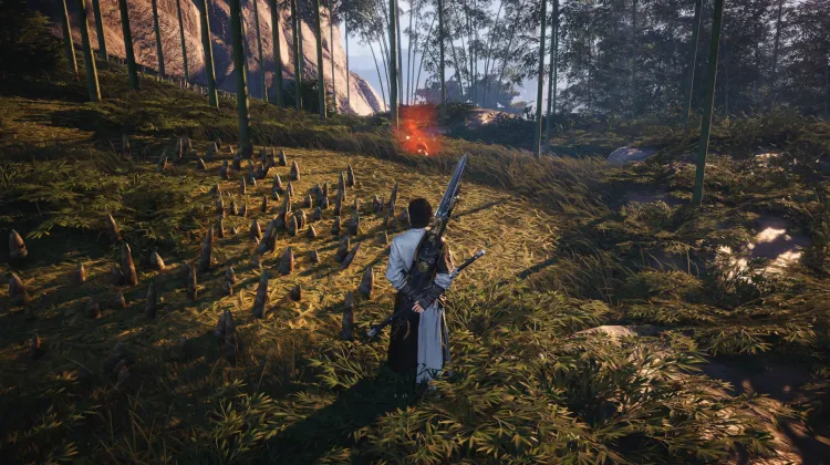 Scarabée de Brume Rouge