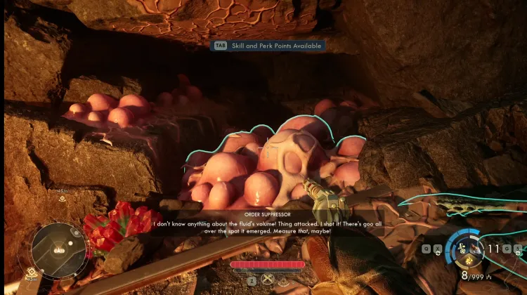 Verachnid Emergence Hole