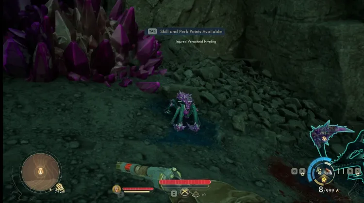 Verletzter Verachnid-Schwarmling