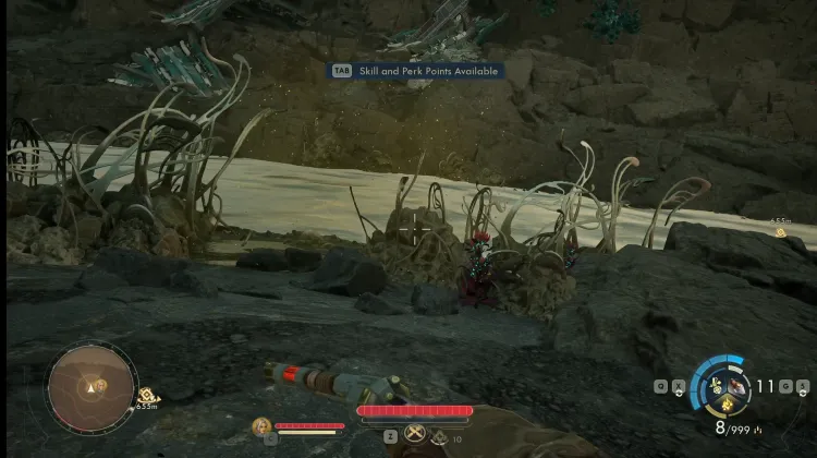 Laphoria Senza Cuore