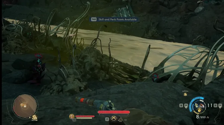 Laphoria Senza Cuore