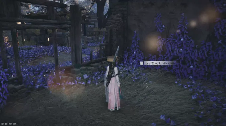 Registres de Division de Propriété de la Famille Zhou à la Ville de Mercyheart