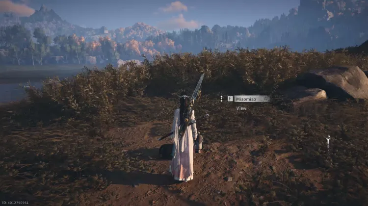 Rally The Cats - Contes Errants