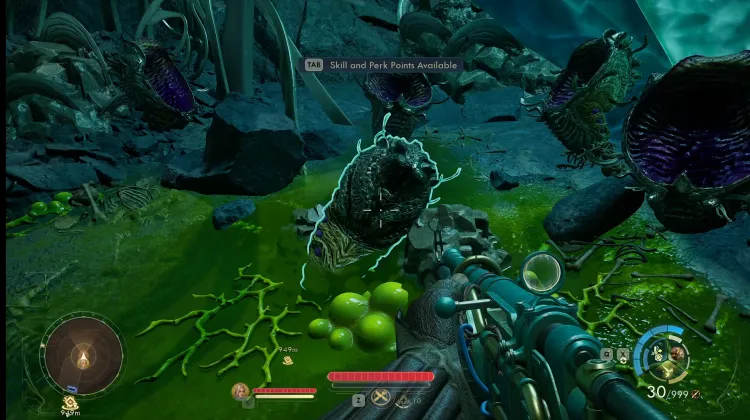 Poczwarka Żyranowego Mantizaura