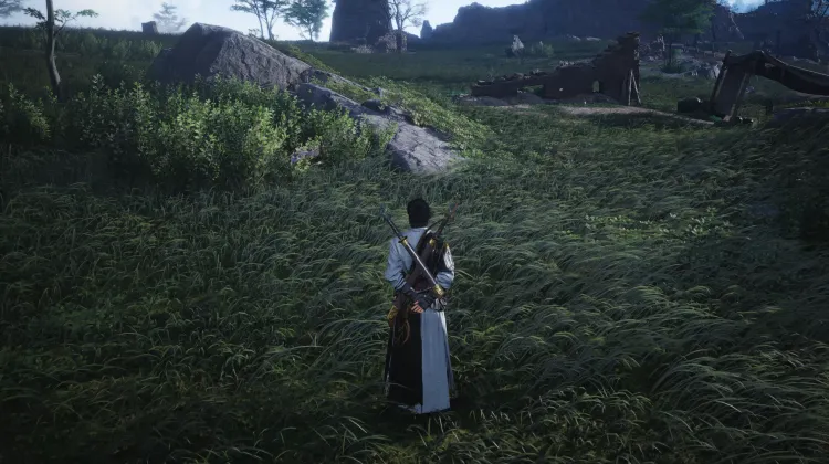 Mante aux Ailes de Fer