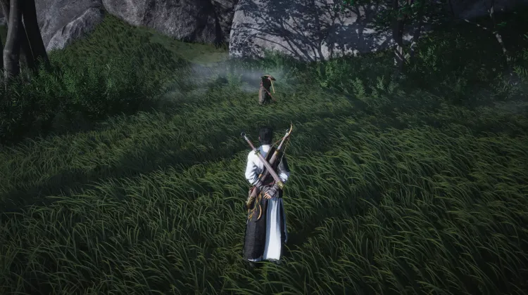 Fort du Tigre Voleur